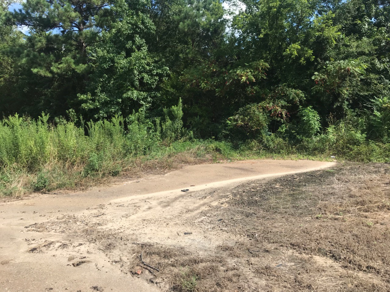 Tbd S Highway 59 Highway Linden TX 75563