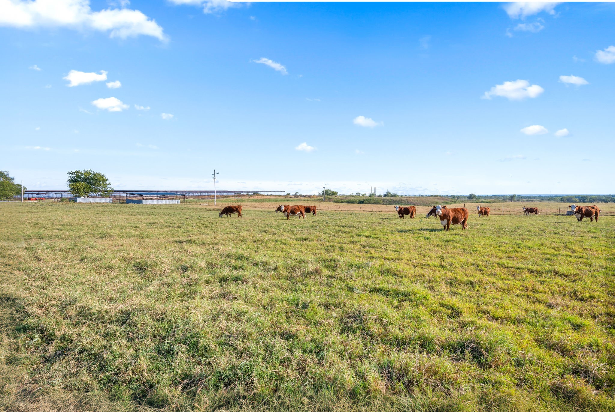 910 E Fm 219 Hico TX 76457