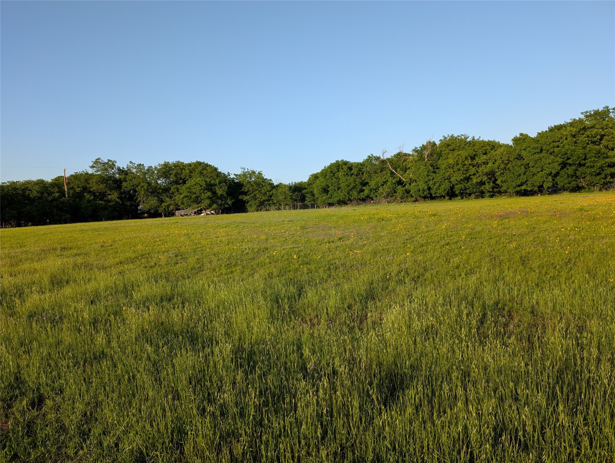 3111 Oakey Trail Hudson Oaks TX 76087