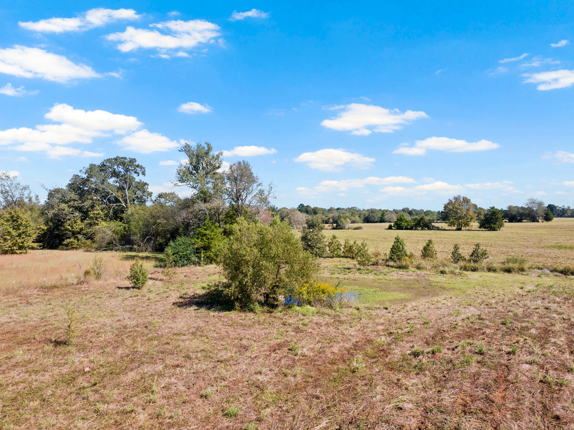 9108 N Us Highway 271 Gilmer TX 75644