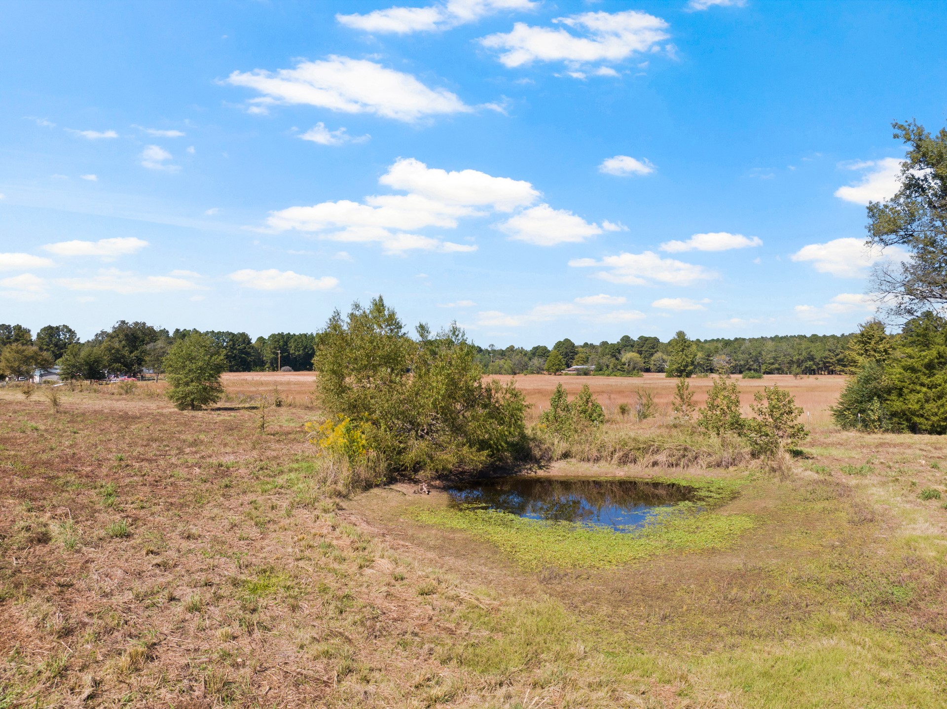 9108 N Us Highway 271 Gilmer TX 75644