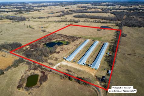 4227 County Road SW 3010 Mount Vernon TX 75457