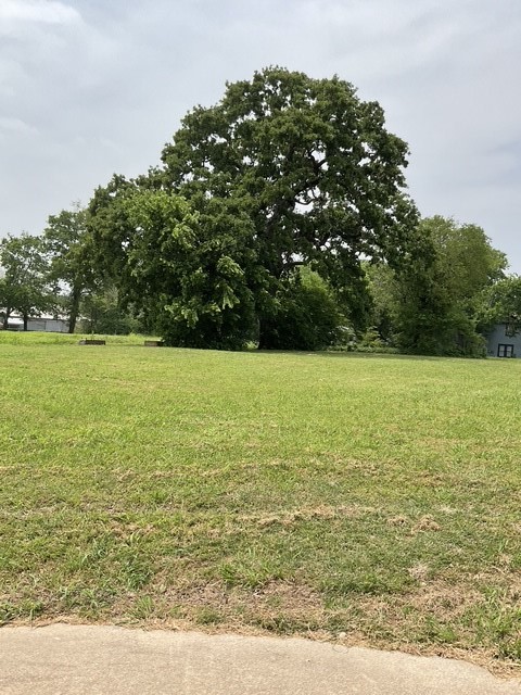 123 N Main Street Bonham TX 75418