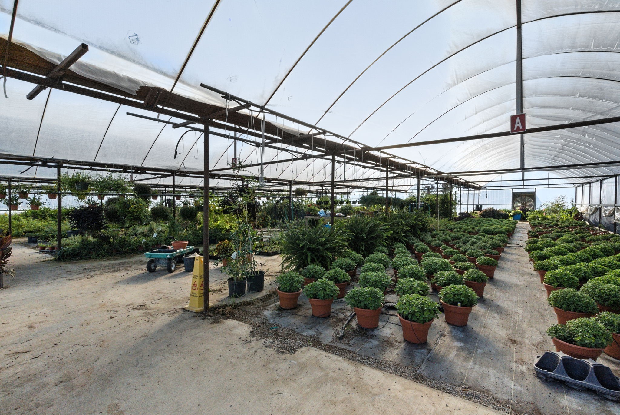 3240 Highway 183 N Early TX 76802
