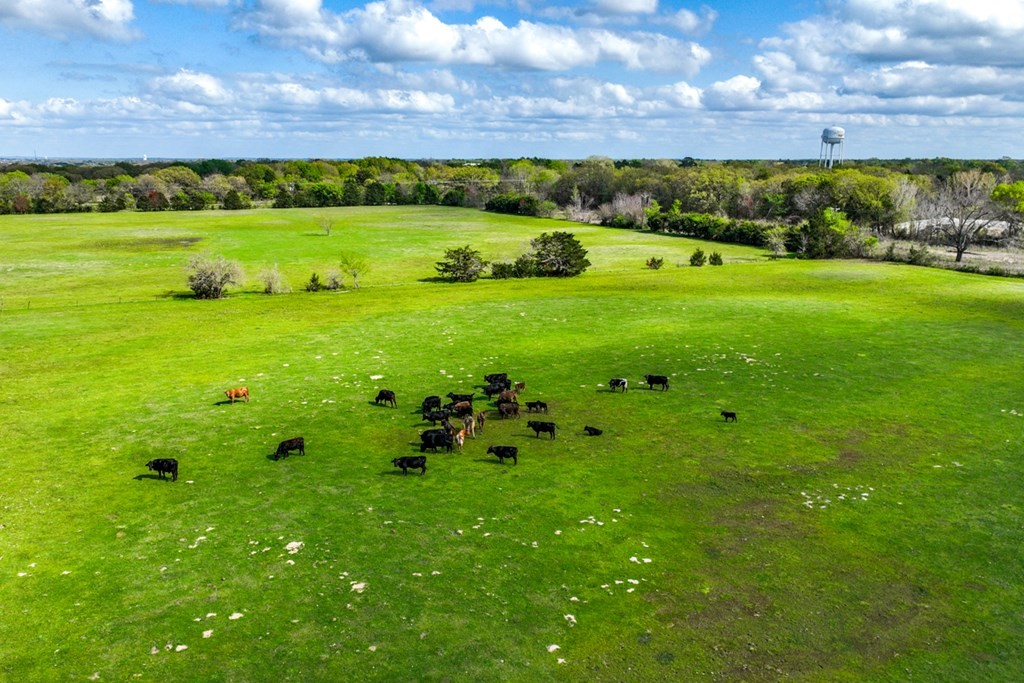 00 Tx-274 Kemp TX 75143