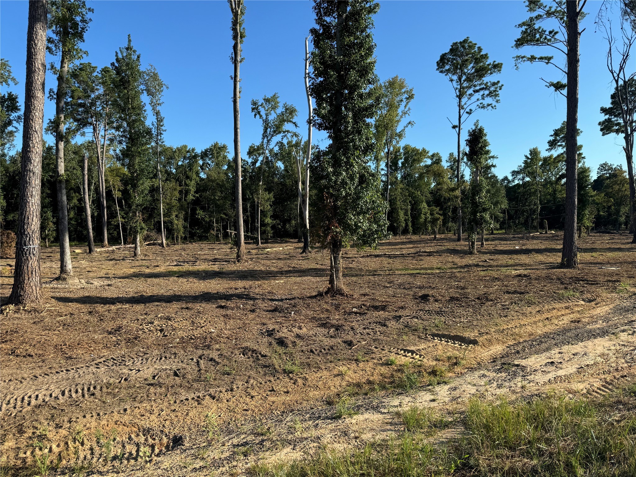 16393 W State Highway 31 Tyler TX 75709