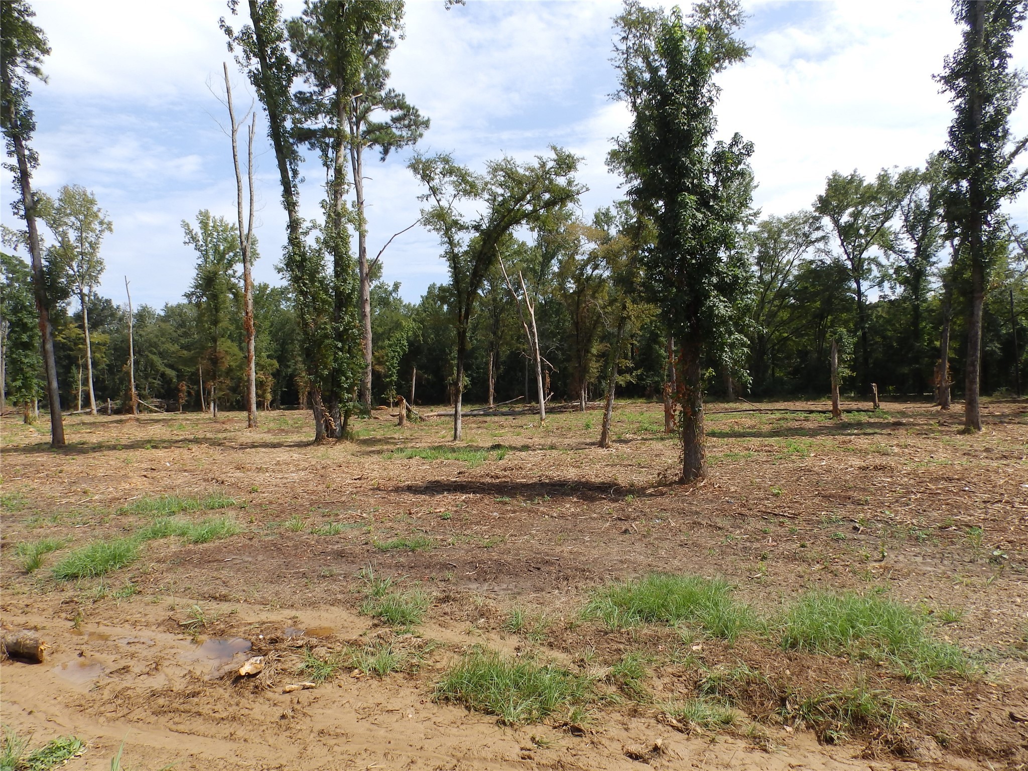 16393 W State Highway 31 Tyler TX 75709