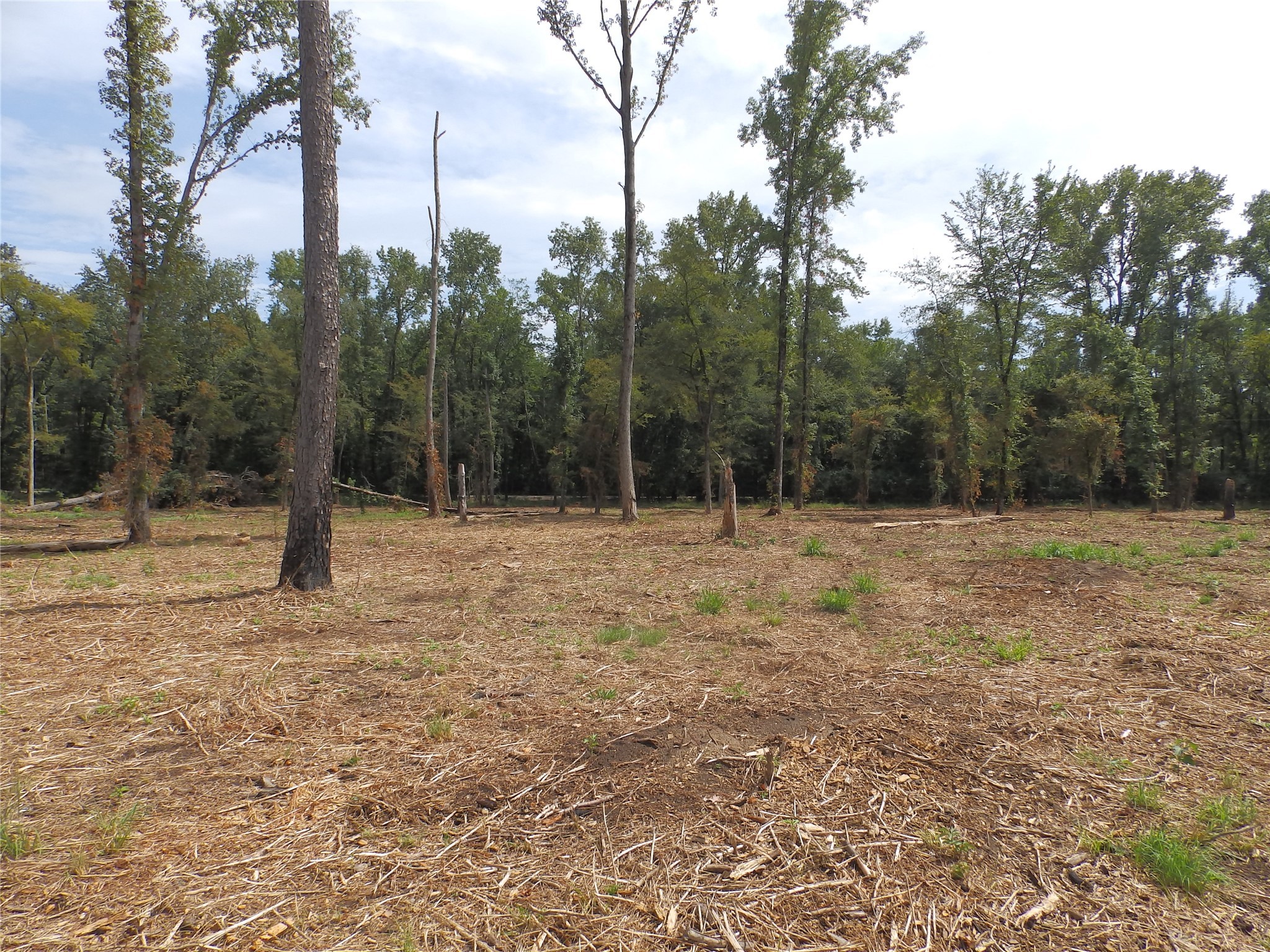 16393 W State Highway 31 Tyler TX 75709