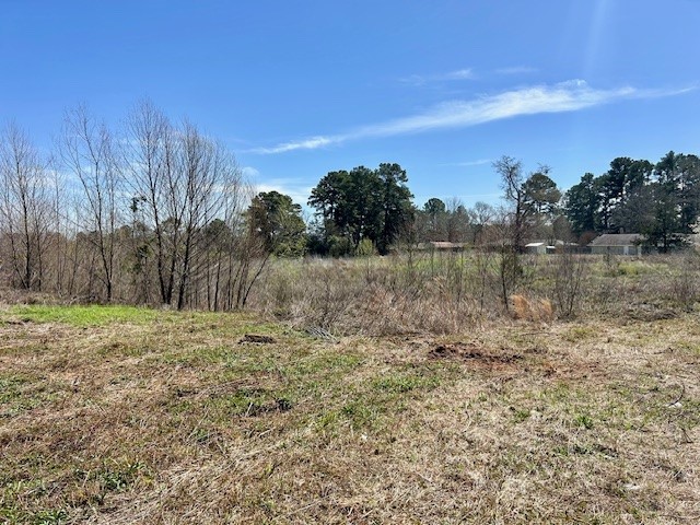 Tbd S Loop 256 Palestine TX 75801
