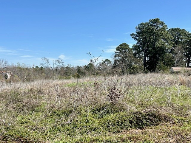 Tbd S Loop 256 Palestine TX 75801