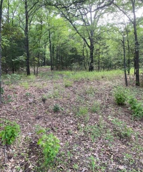 0 Highway 175 Mabank TX 75147