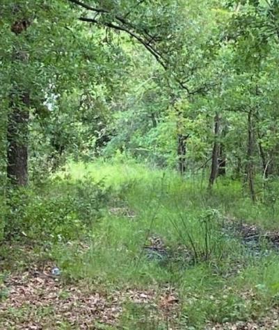 0 Highway 175 Mabank TX 75147