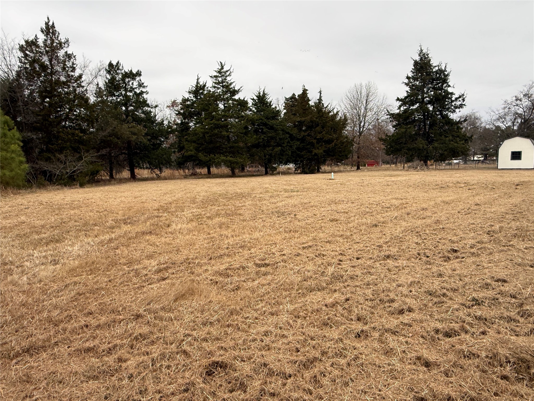 6597 Farm Road 1500 Sumner TX 75486