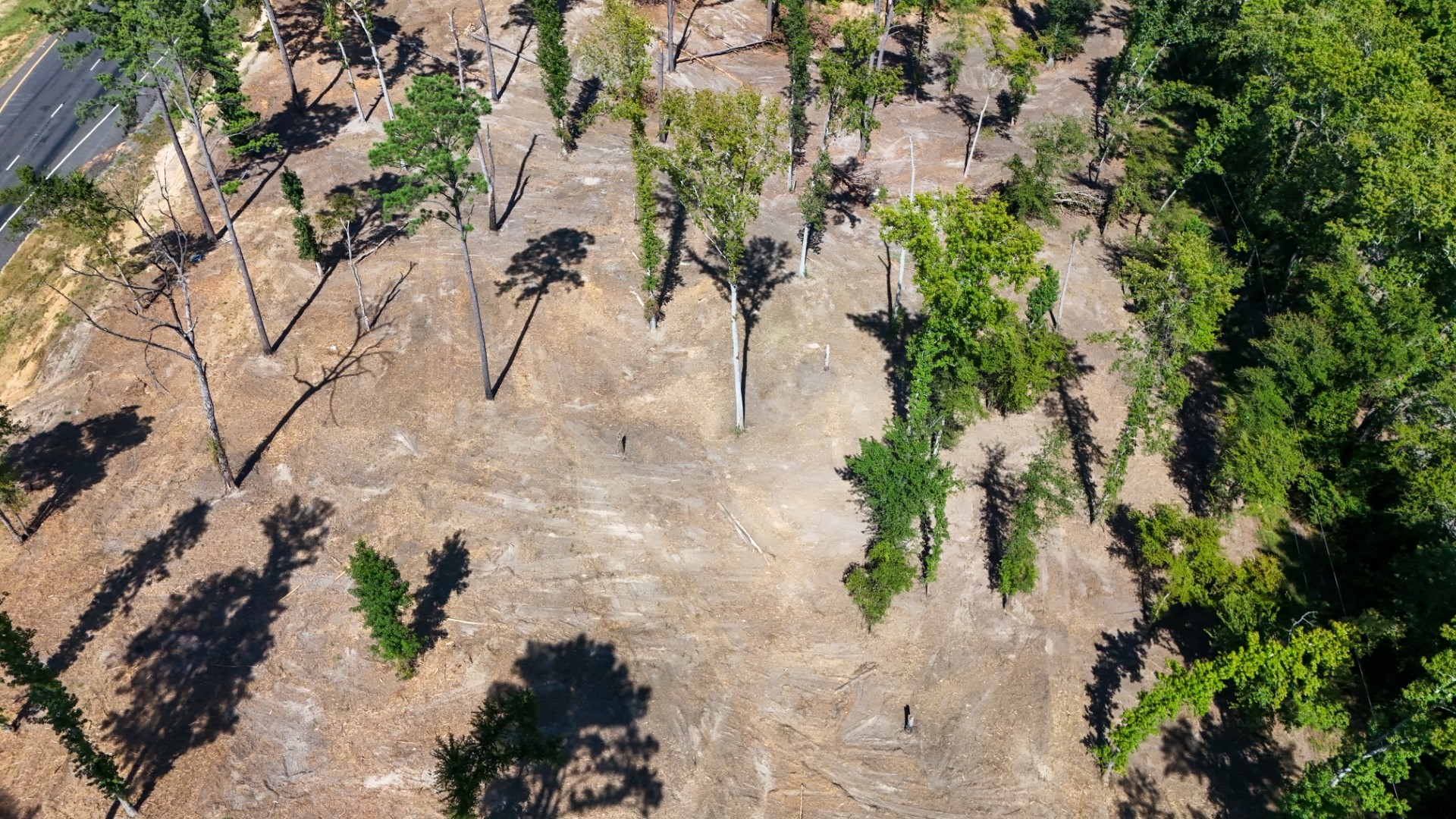 16393 State Highway 31 Tyler TX 75709