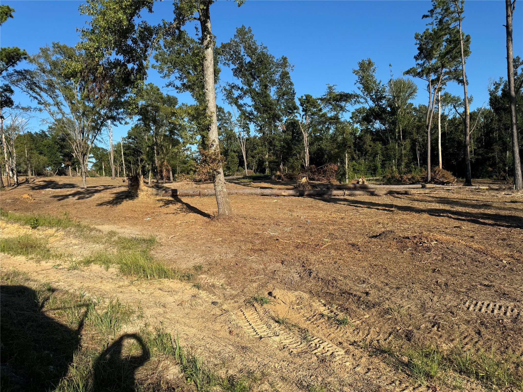 16393 State Highway 31 Tyler TX 75709