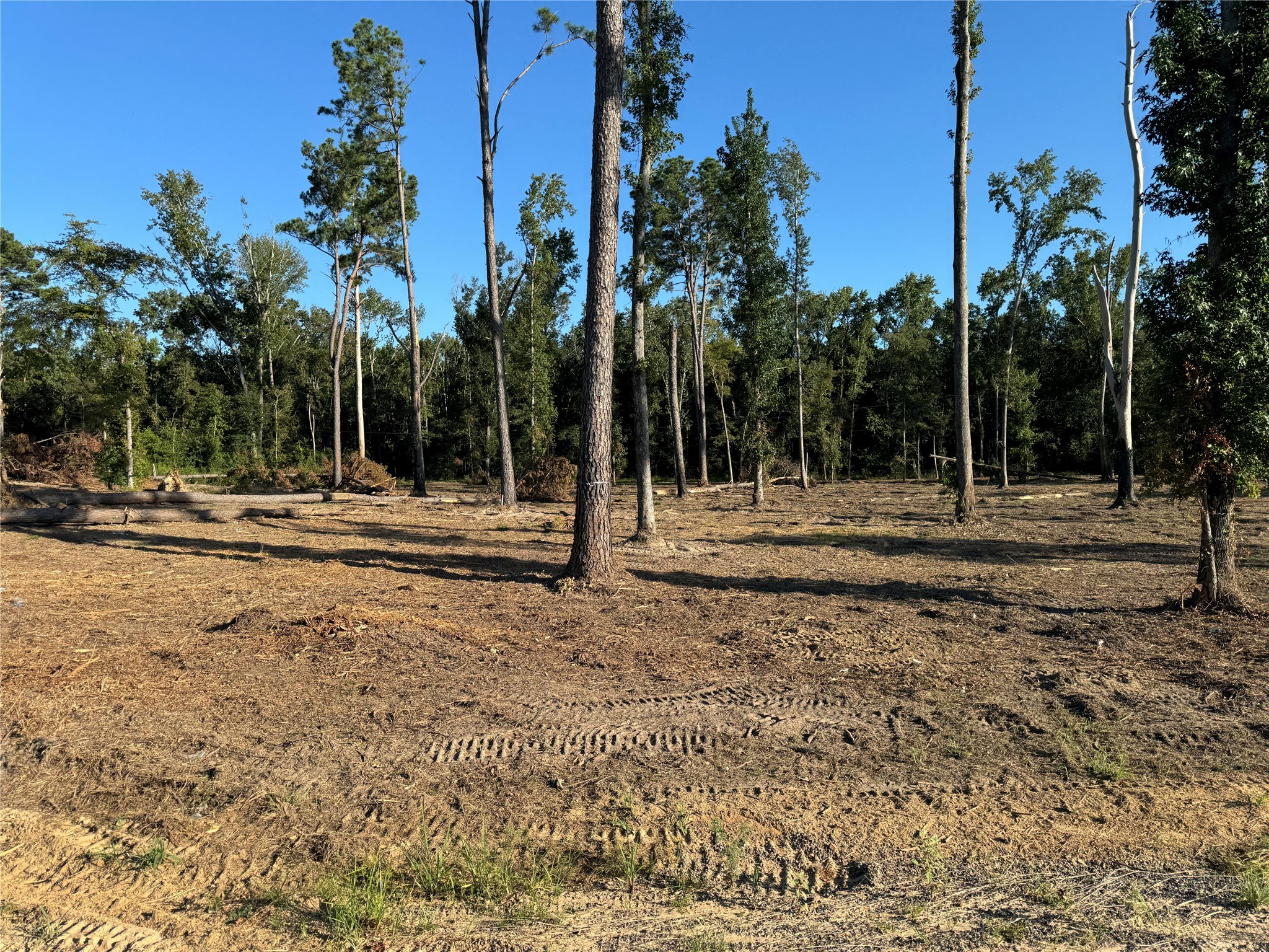 16393 State Highway 31 Tyler TX 75709