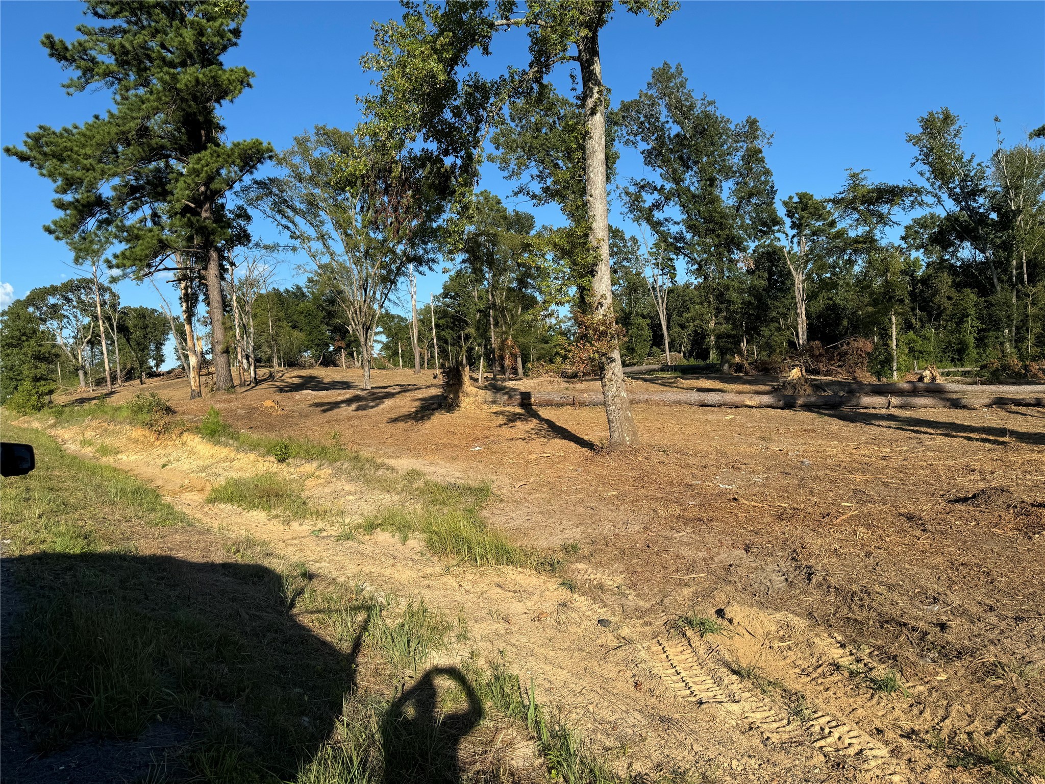 16393 State Highway 31 Tyler TX 75709