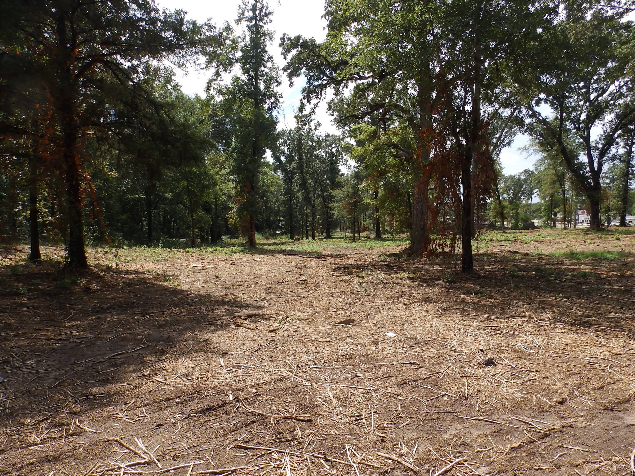 16393 State Highway 31 Tyler TX 75709