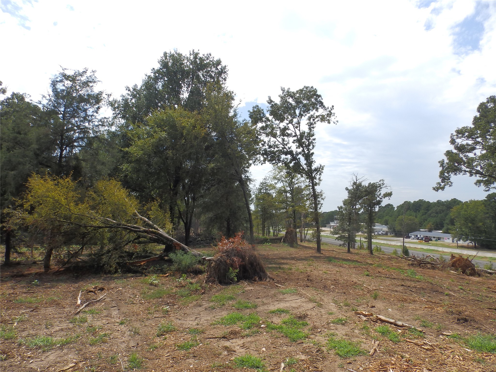 16393 State Highway 31 Tyler TX 75709