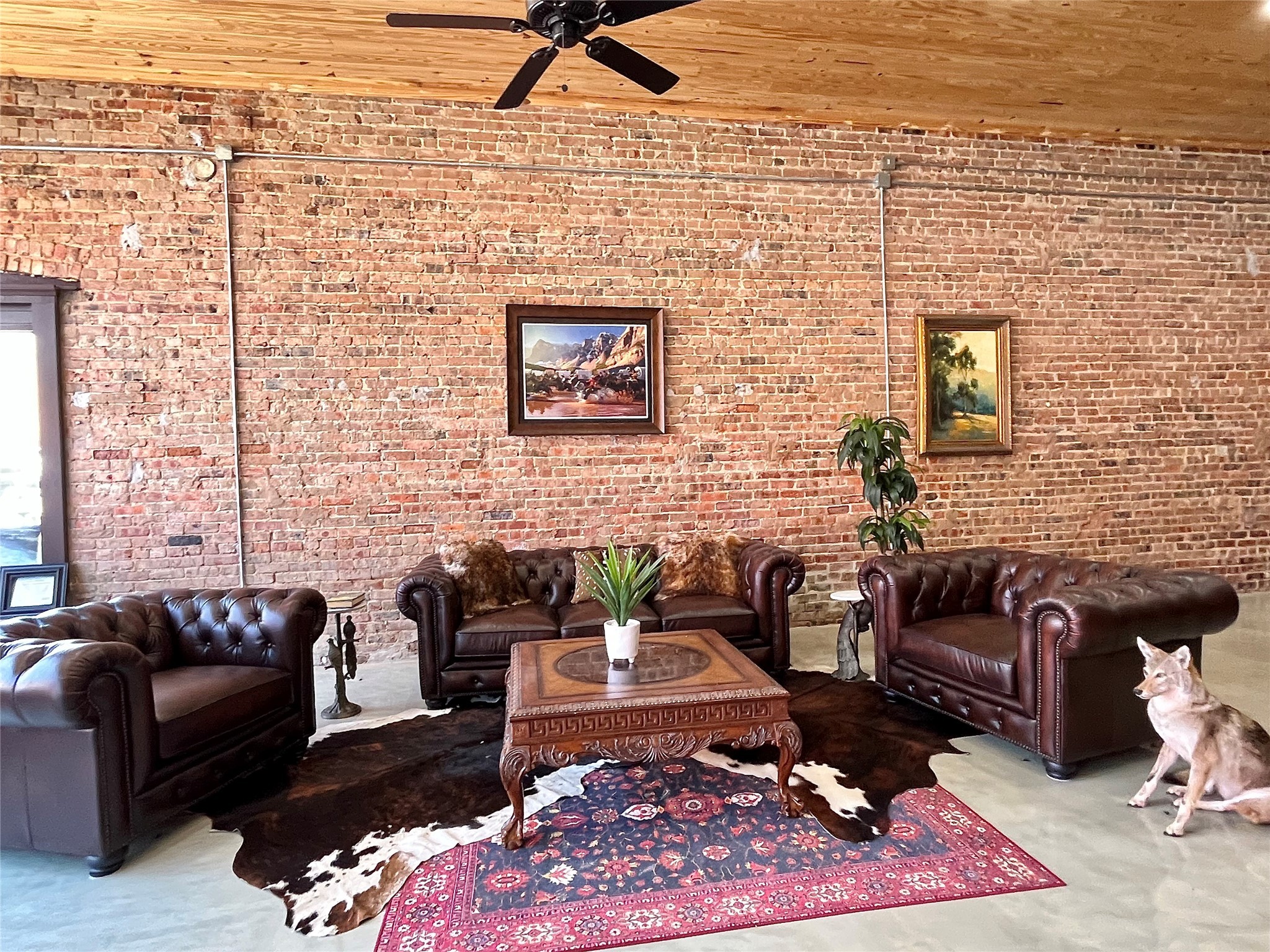 112 W Wise Street Bowie TX 76230