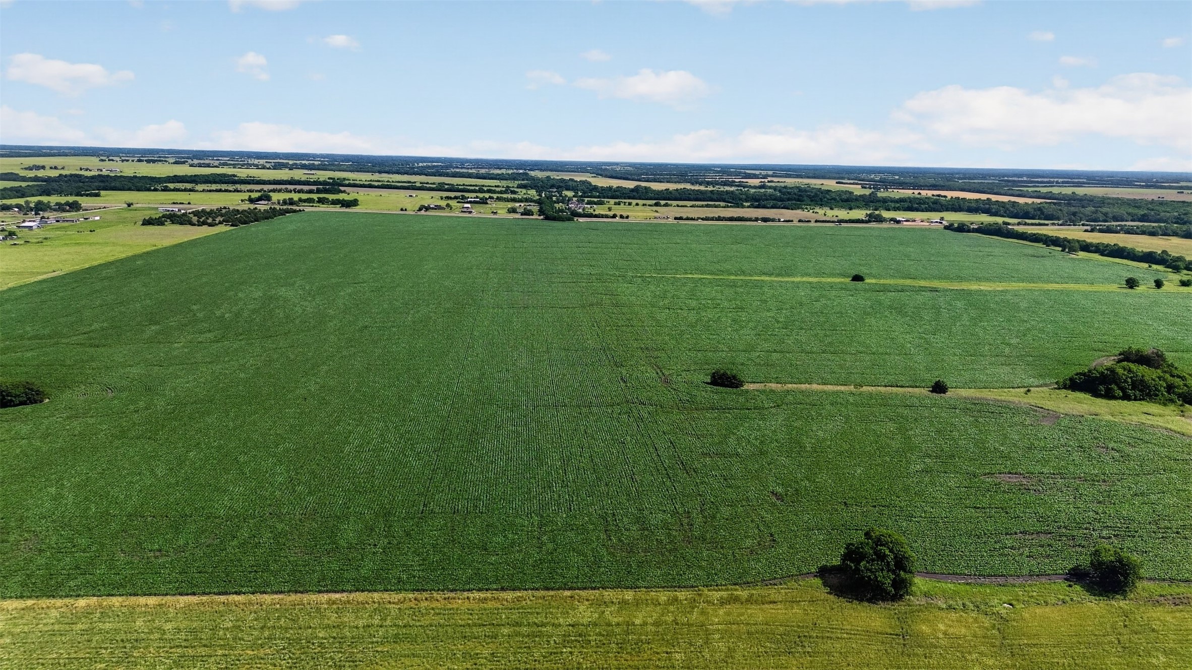 281 Acres Highway 380 Greenville TX 75401