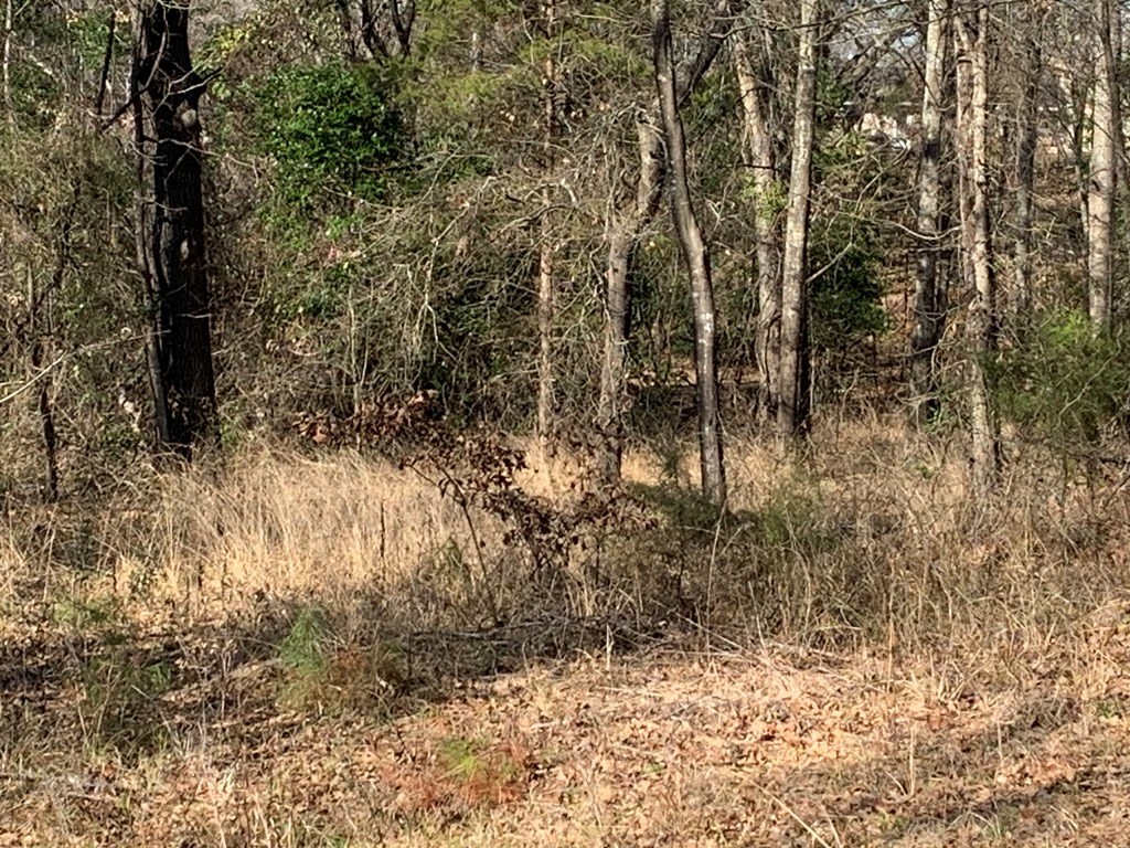 13609 I-20 Lindale TX 75771