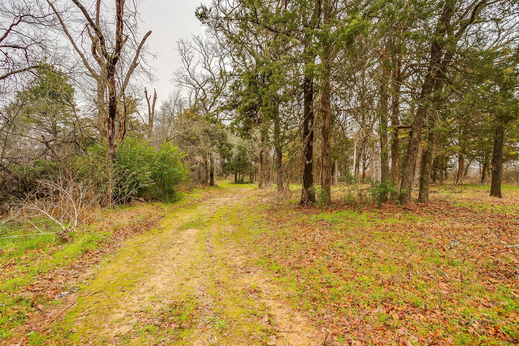 4011 E Highway 67 Keene TX 76031