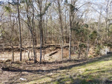 20175 S Highway 155 Lot M Flint TX 75762