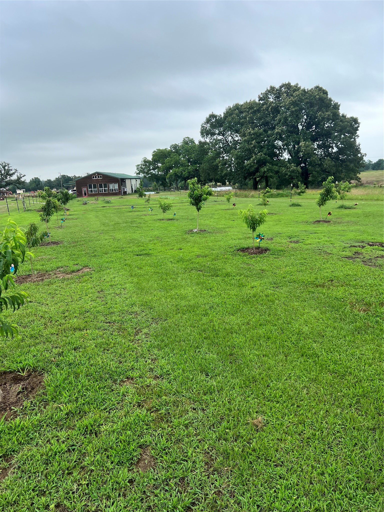 127 Crump Lane Sulphur Springs TX 75482