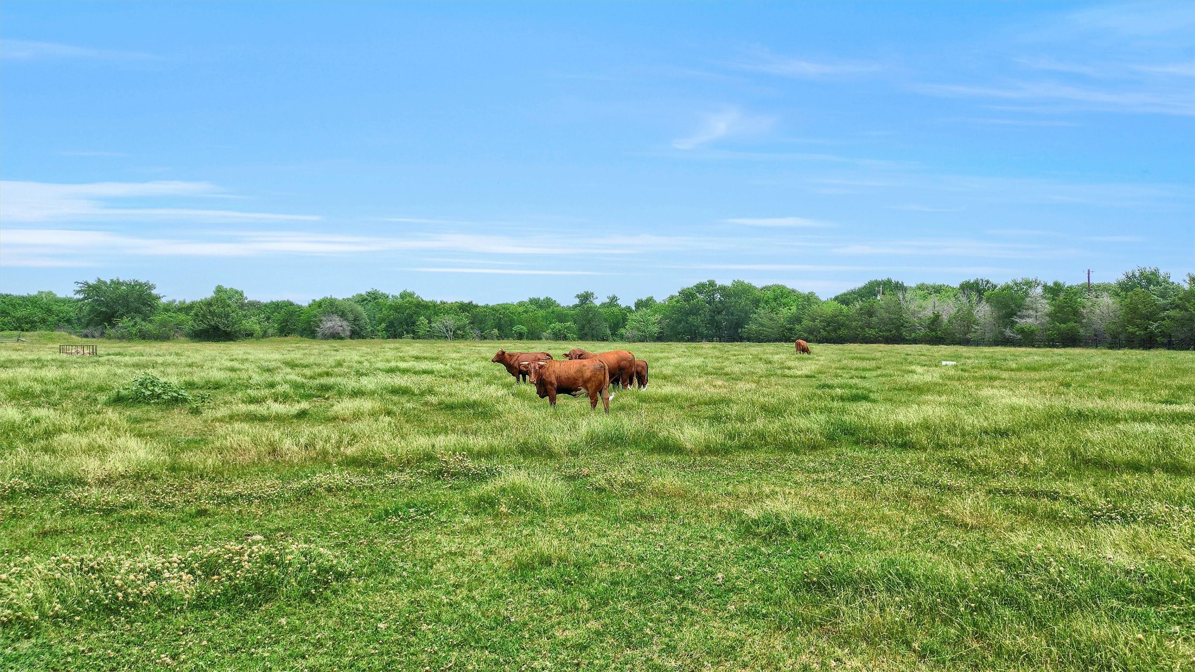 12153 Mustang Road Pilot Point TX 76258