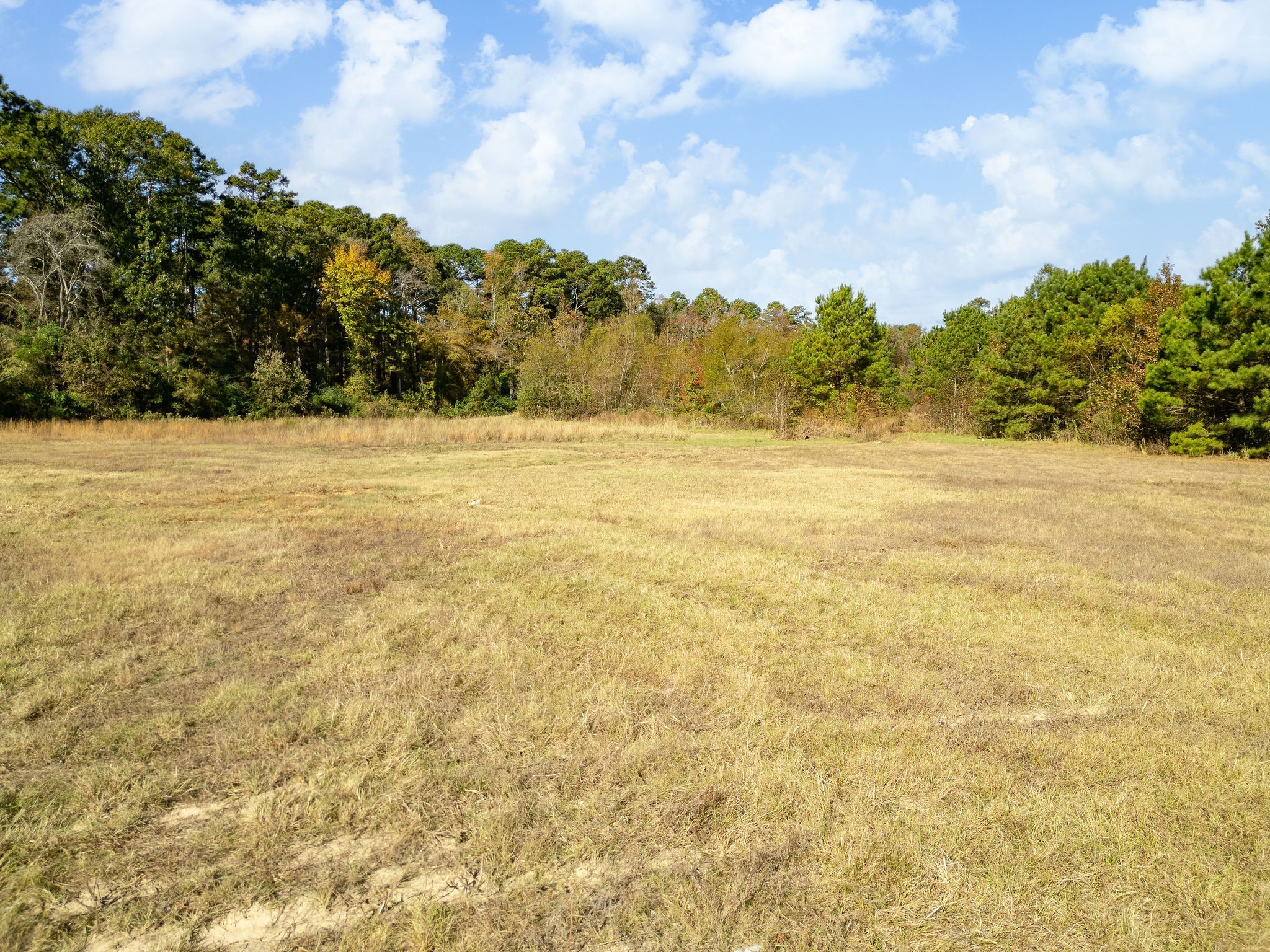 7697 N State Highway 155 Gilmer TX 75644