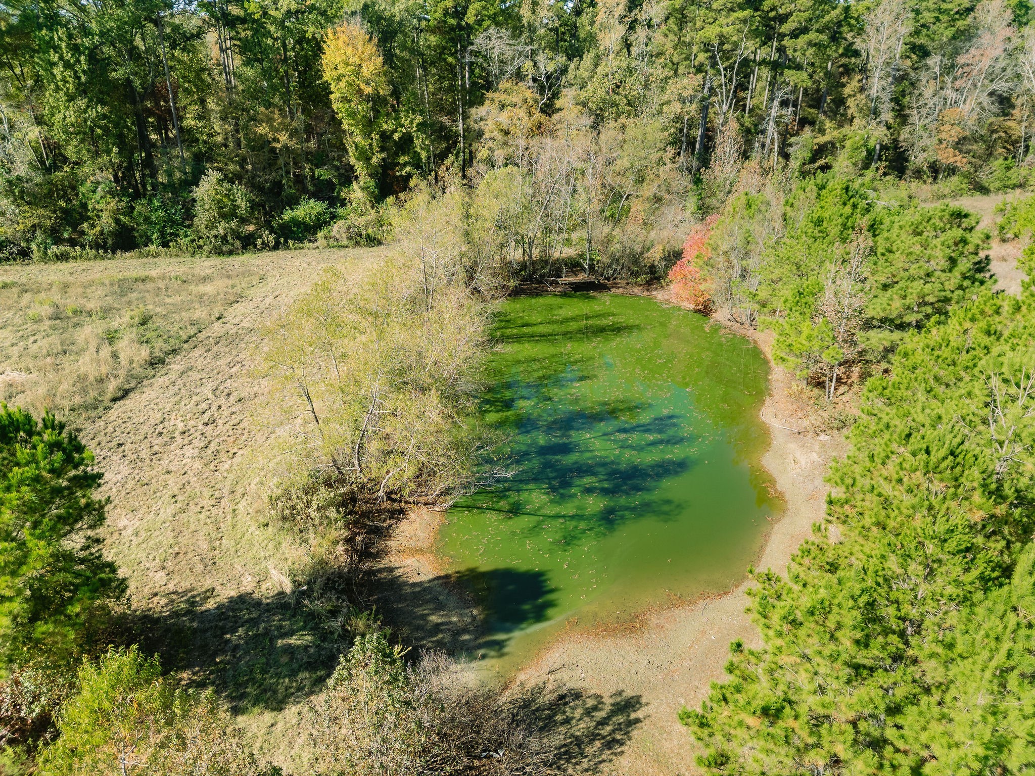 7697 N State Highway 155 Gilmer TX 75644