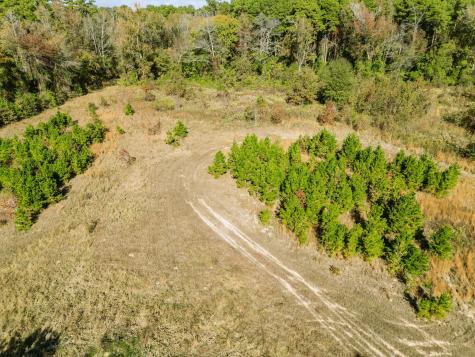 7697 N State Highway 155 Gilmer TX 75644