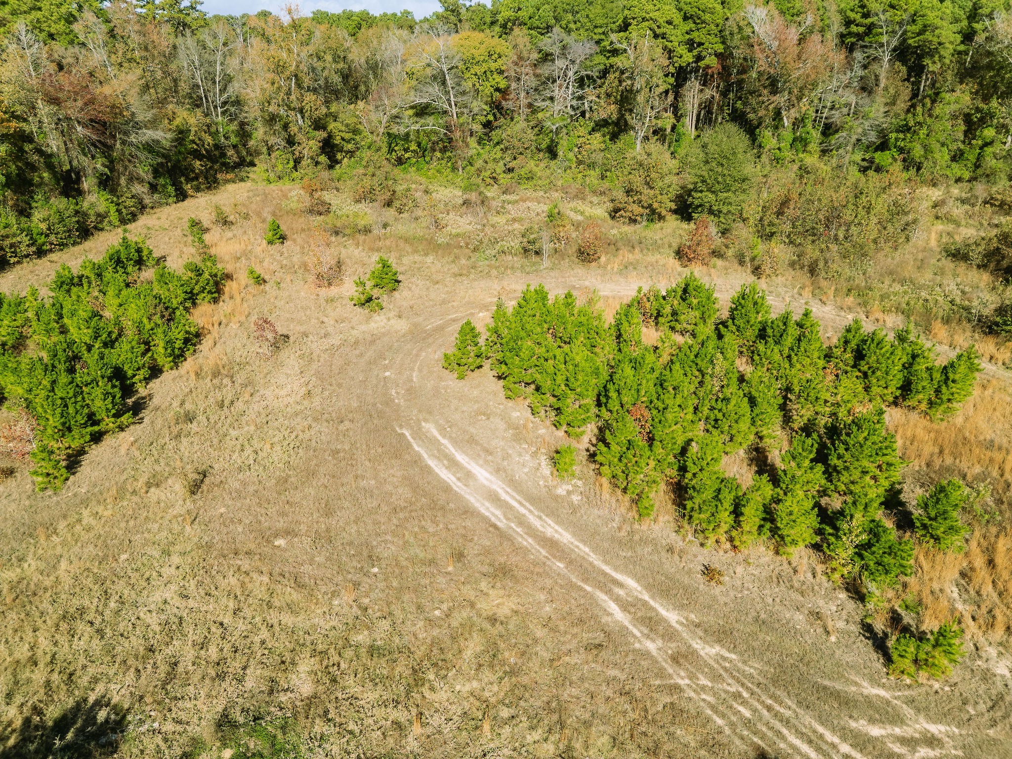 7697 N State Highway 155 Gilmer TX 75644