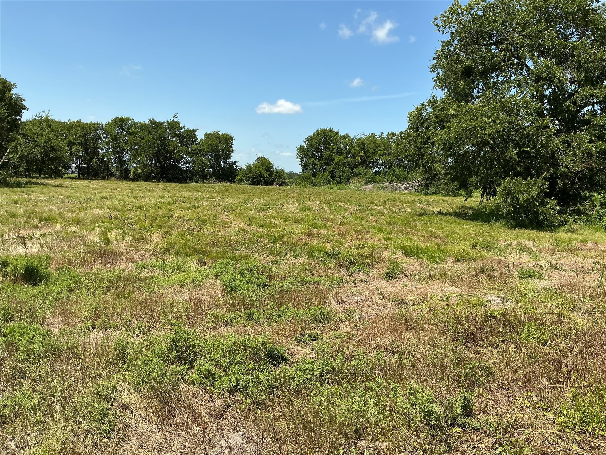 1300 S Highway 205 Mclendon Chisholm TX 75032