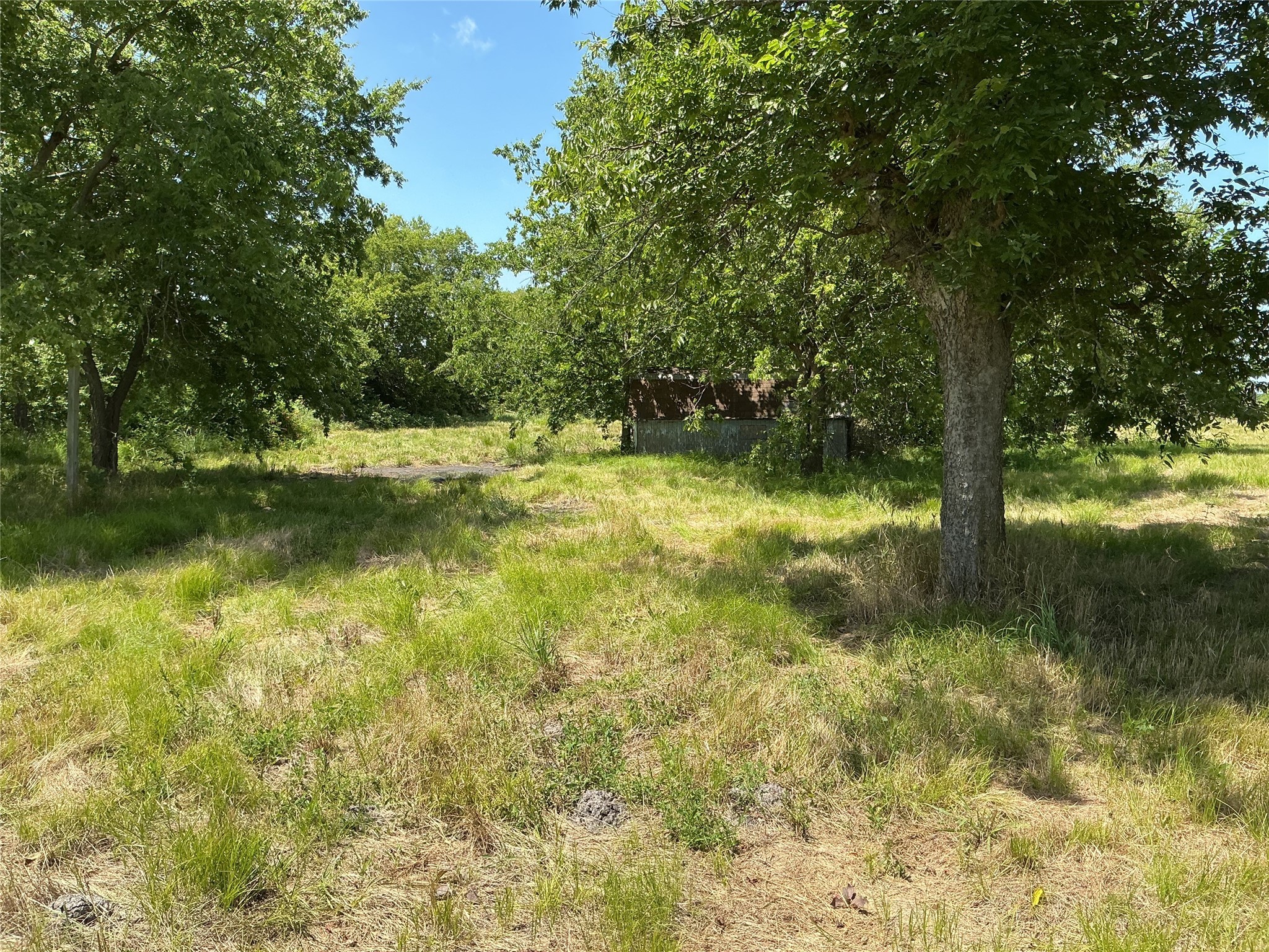 1300 S Highway 205 Mclendon Chisholm TX 75032