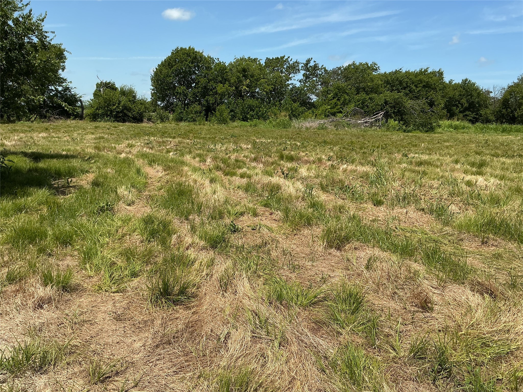 1300 S Highway 205 Mclendon Chisholm TX 75032
