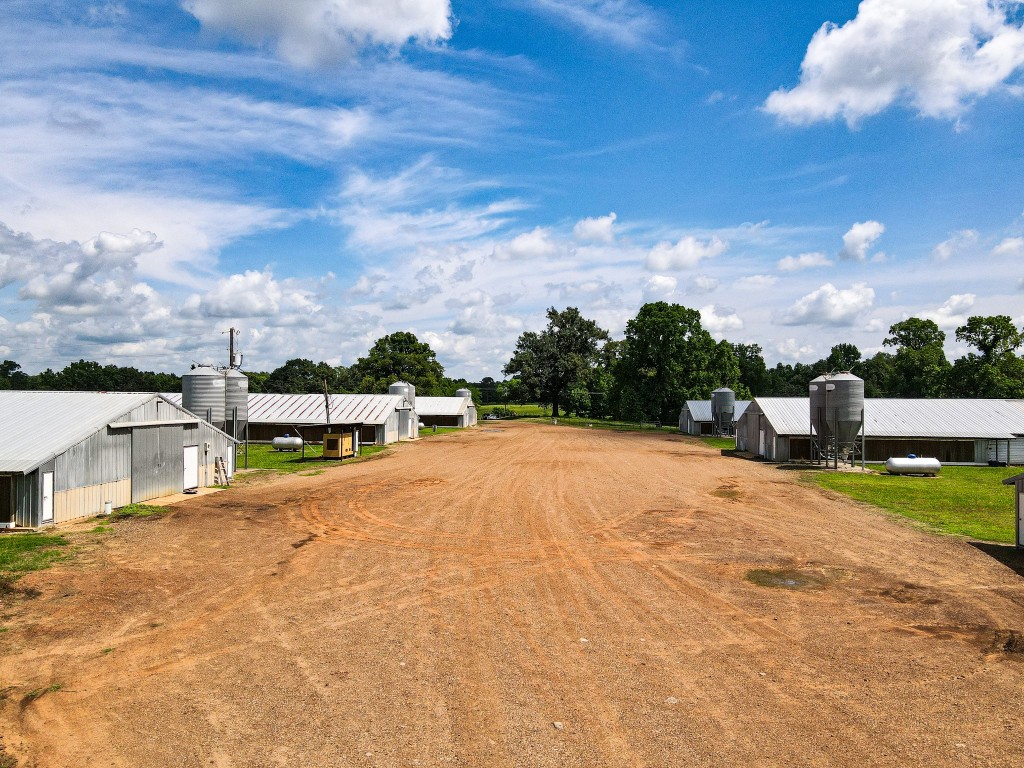 283 Cr 3340 Omaha TX 75571