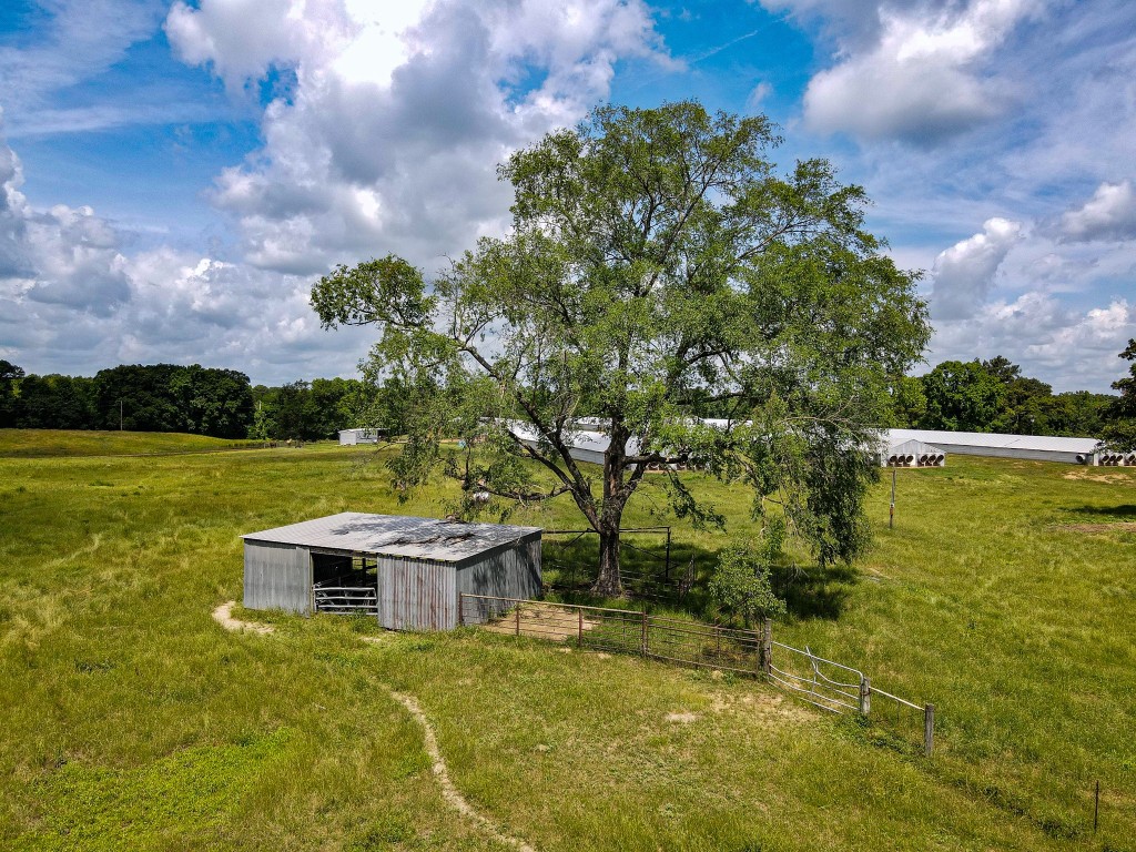 283 Cr 3340 Omaha TX 75571
