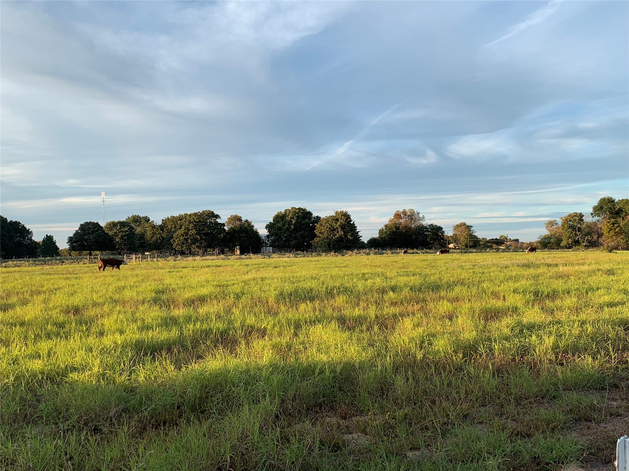 1211 Vz County Road 4418 Canton TX 75103