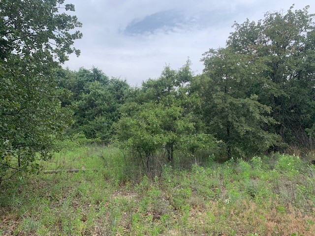 833 Boyd Road Azle TX 76020