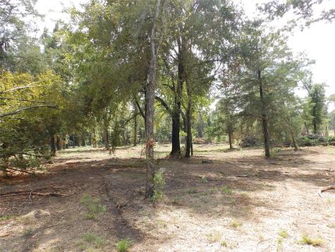 16393 W State Highway 31 Tyler TX 75709