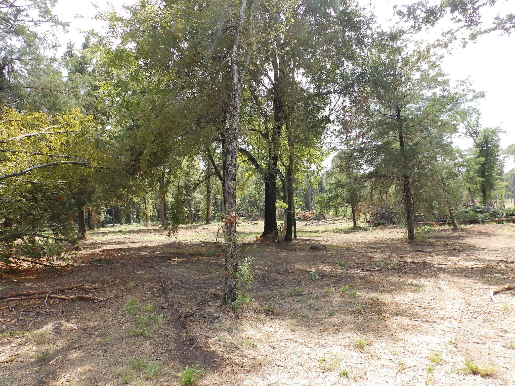 16393 W State Highway 31 Tyler TX 75709