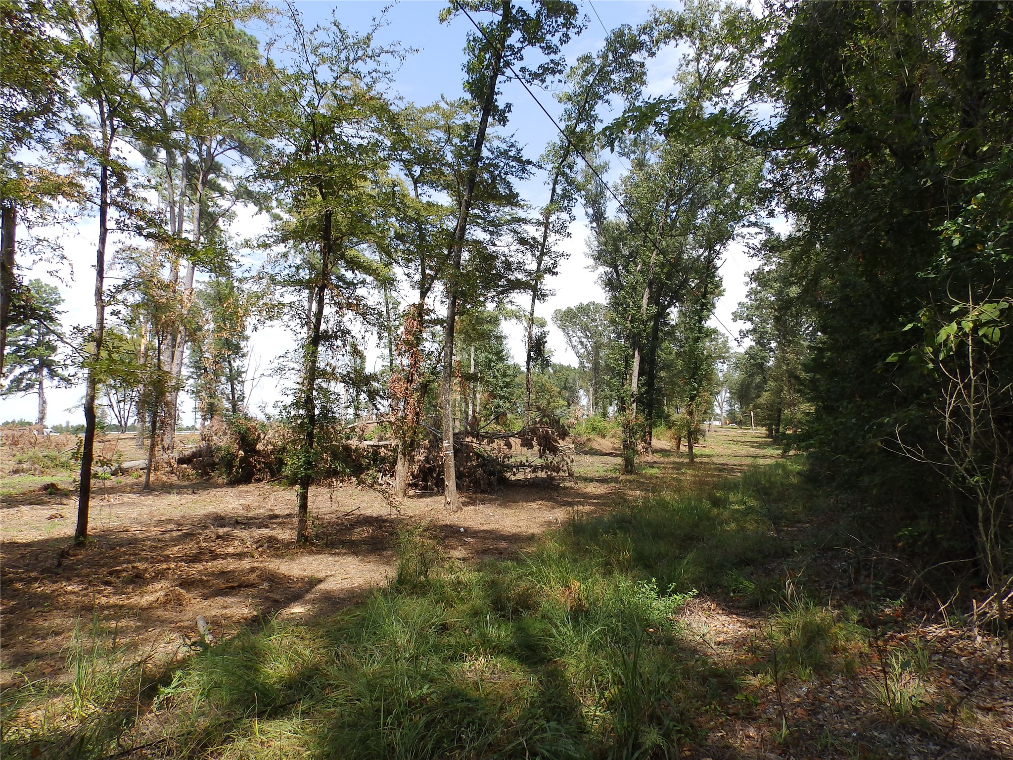 16393 W State Highway 31 Tyler TX 75709
