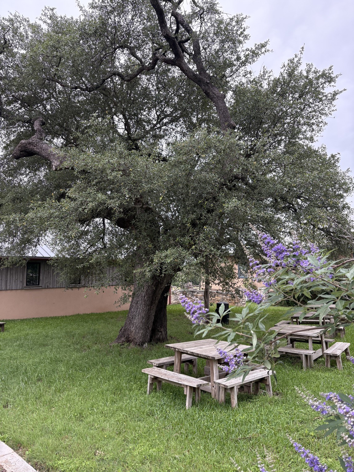 230 Halbert Lane Waco TX 76705