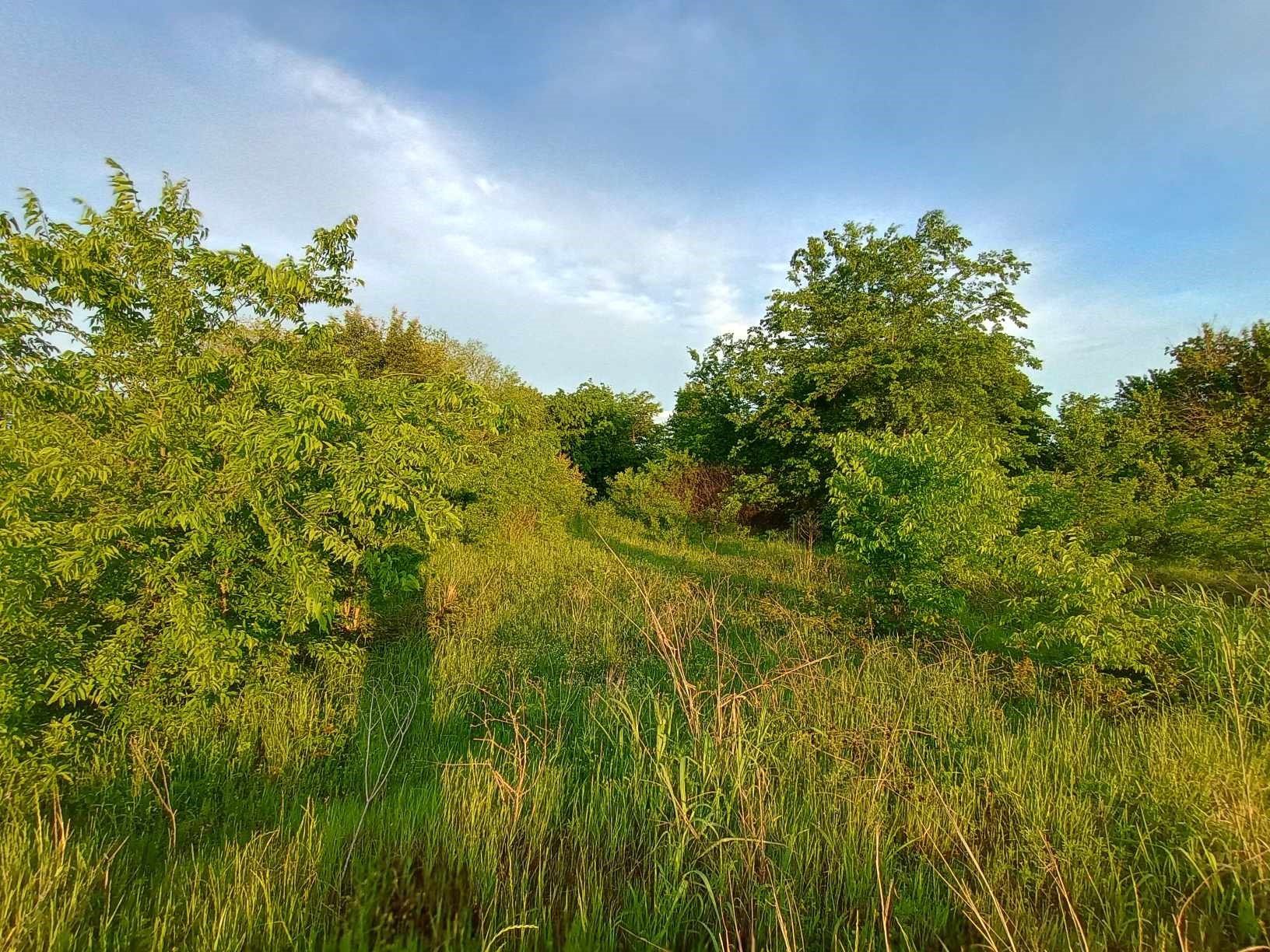 5330 I-30 Campbell TX 75422