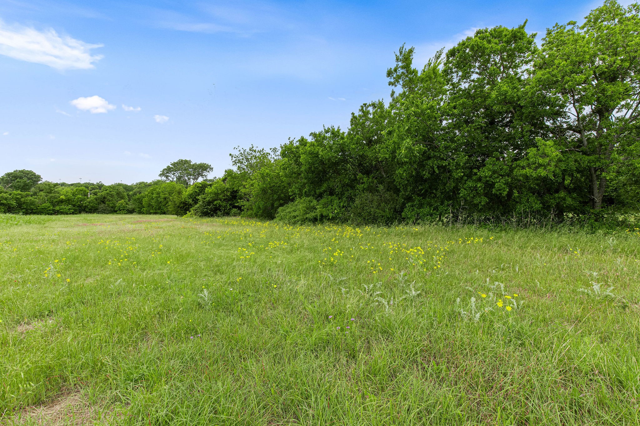 401 N Newark Street Decatur TX 76234