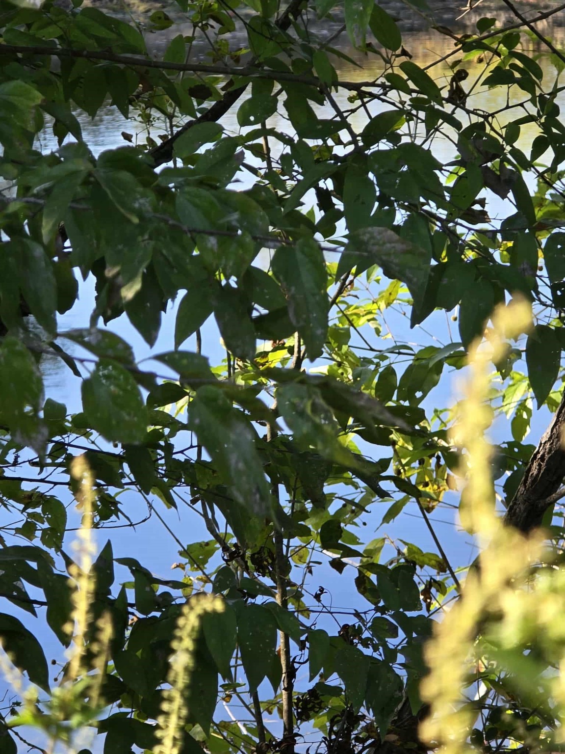 Tbd W Highway 175 Kaufman TX 75142