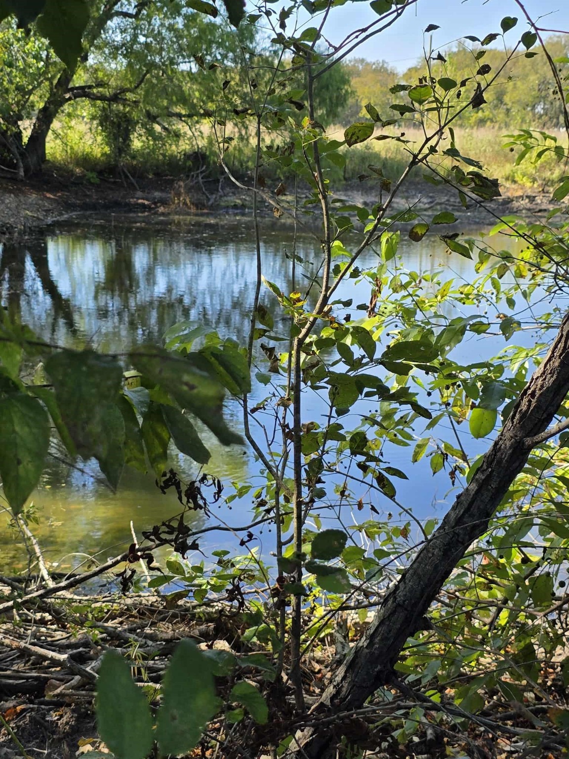 Tbd W Highway 175 Kaufman TX 75142