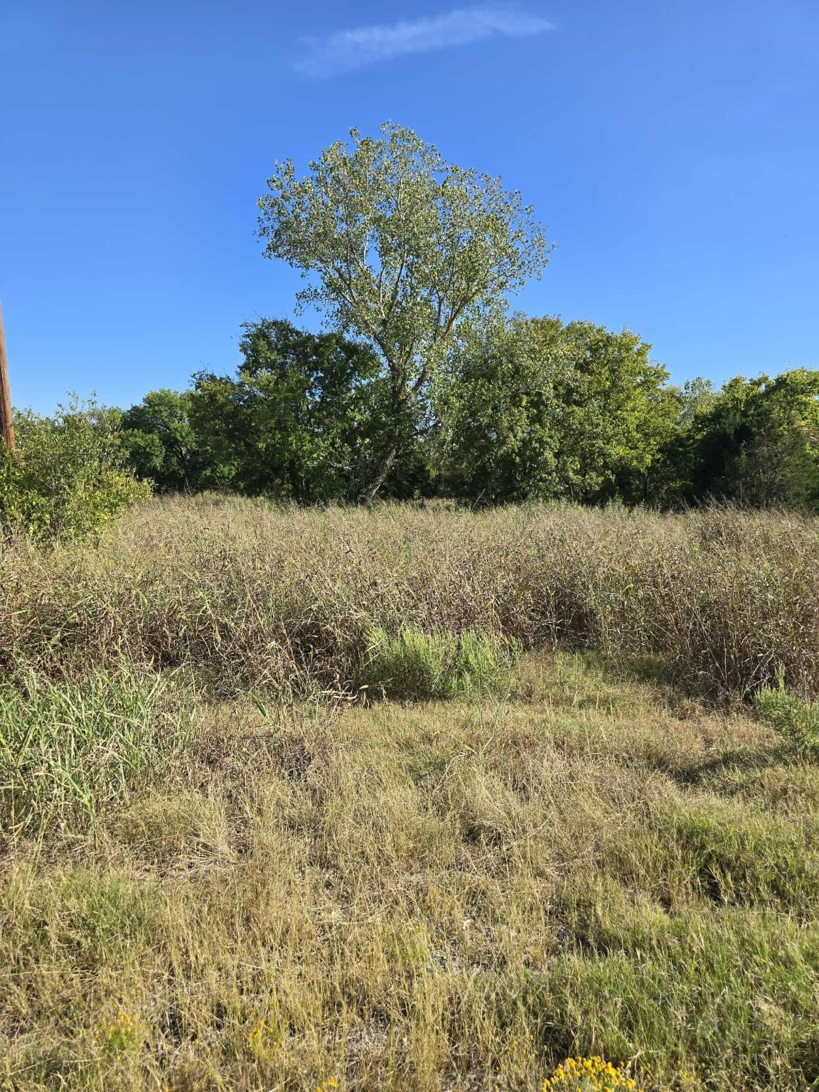 Tbd W Highway 175 Kaufman TX 75142